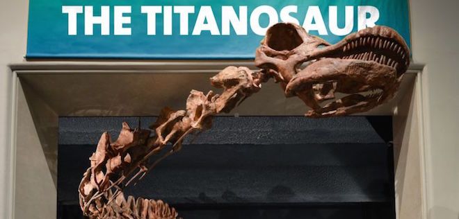 what is the largest dinosaur known to man