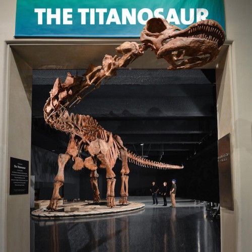 what is the largest dinosaur known to man