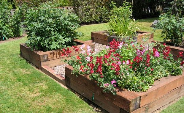 Beginner's Tips to Vegetable Gardening - Your Daily Dish