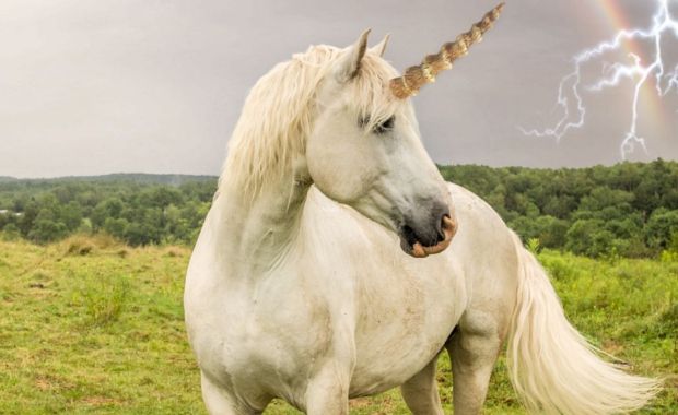 Newly Discovered Fossil Shows Unicorns Were Real - Your -2665
