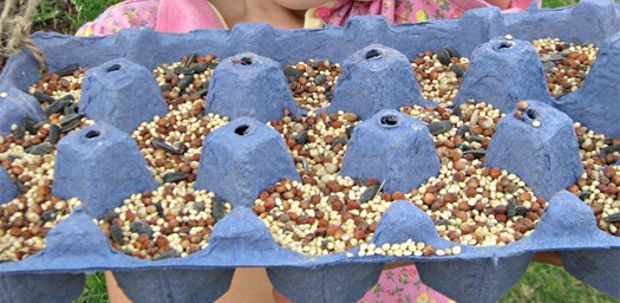 Bring The Birds To Your Backyard With These Diy Bird Feeders