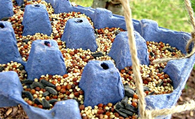 Bring The Birds To Your Backyard With These Diy Bird Feeders