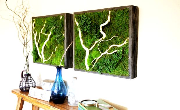 Self-Sustaining and Eco-Friendly Wall Art Brings Nature Indoors - Your ...