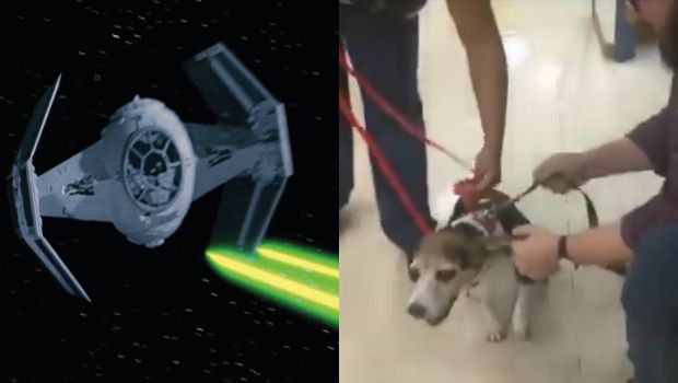 dog tie fighter