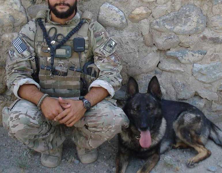 Military Working Dogs That Will Fill Your Heart With Pride