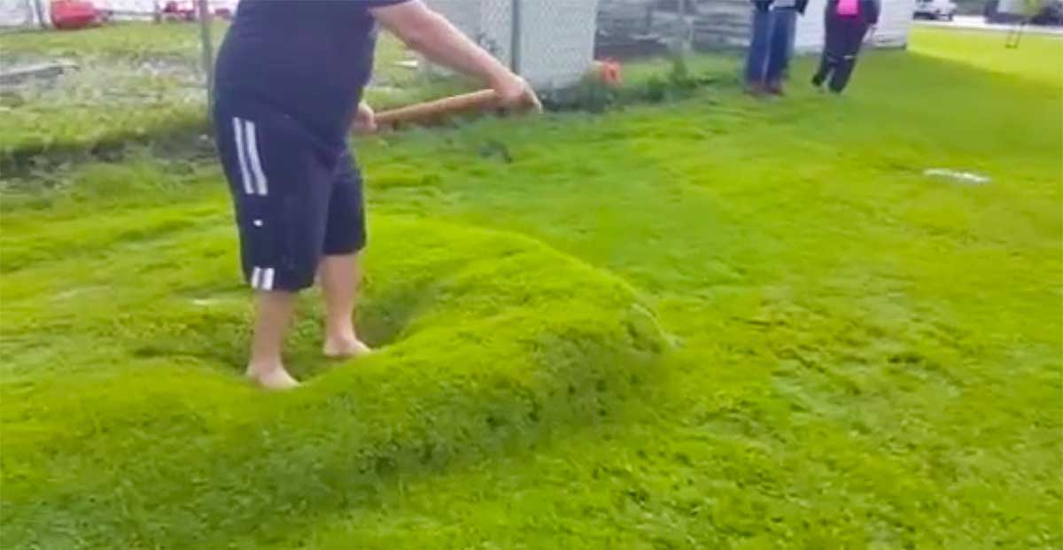 Lawn Bubble Homeowner Pops Strange Water Bubble After Heavy Rains