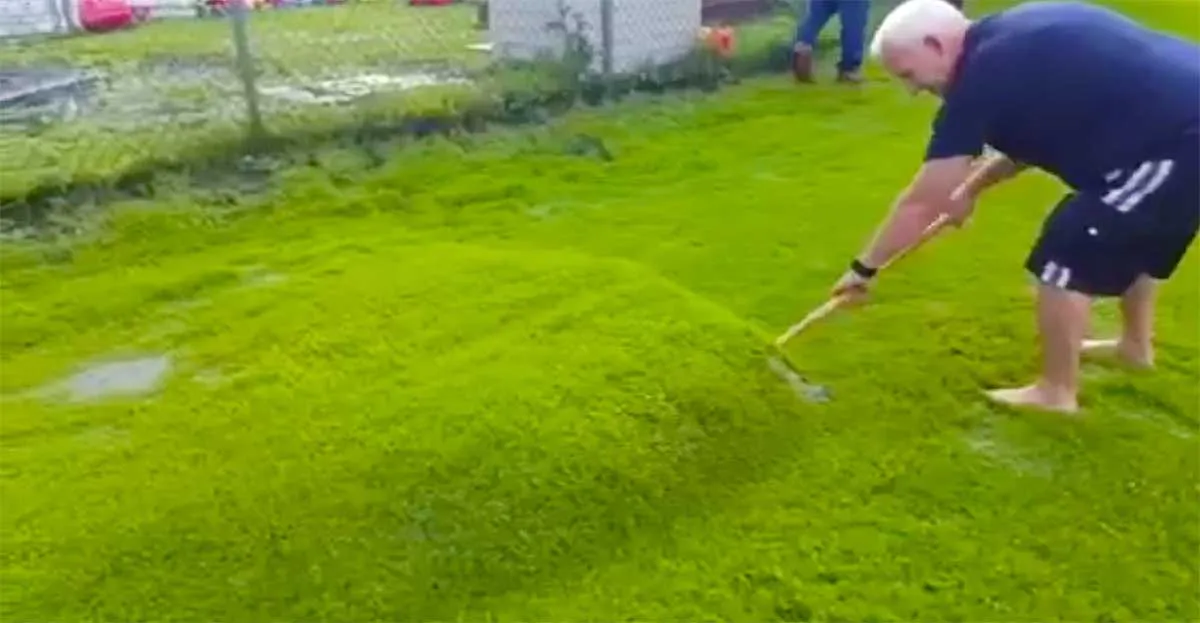 Lawn Bubble Homeowner Pops Strange Water Bubble After Heavy Rains